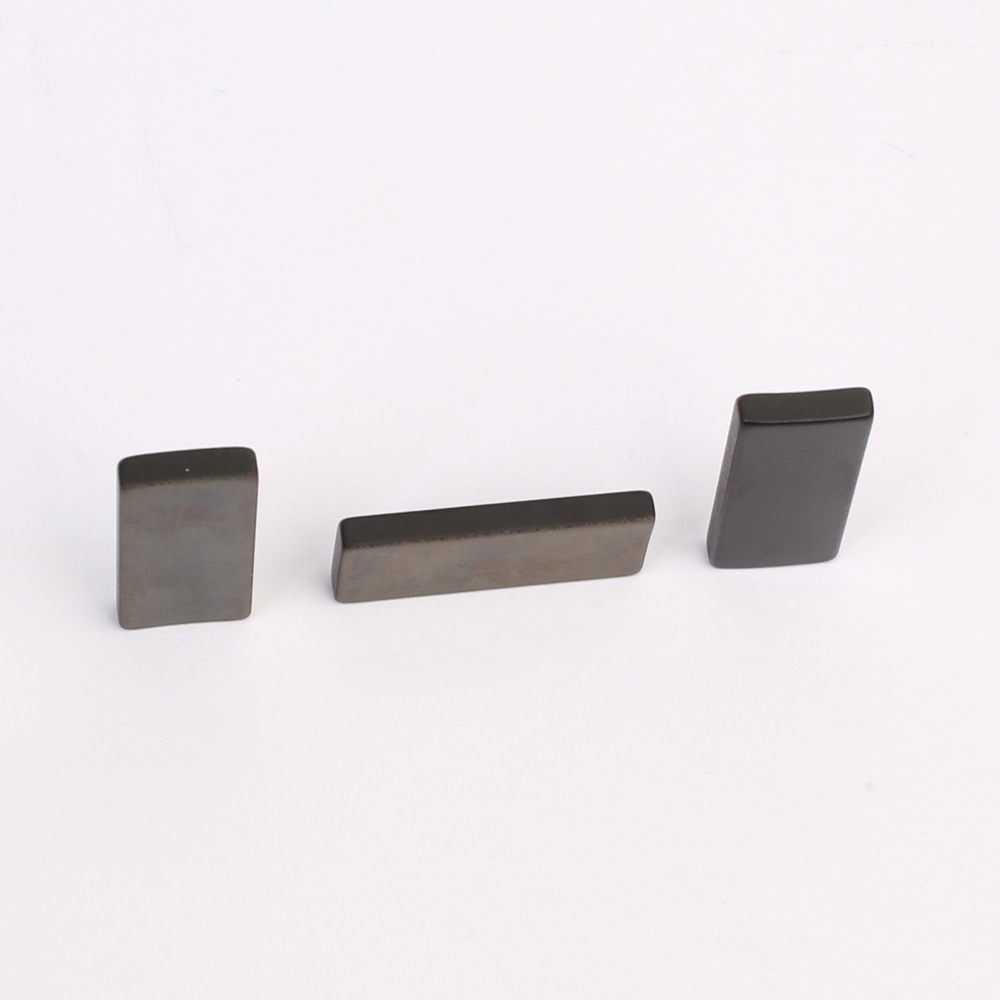 Segment NdFeB Magnet SN-19-6308