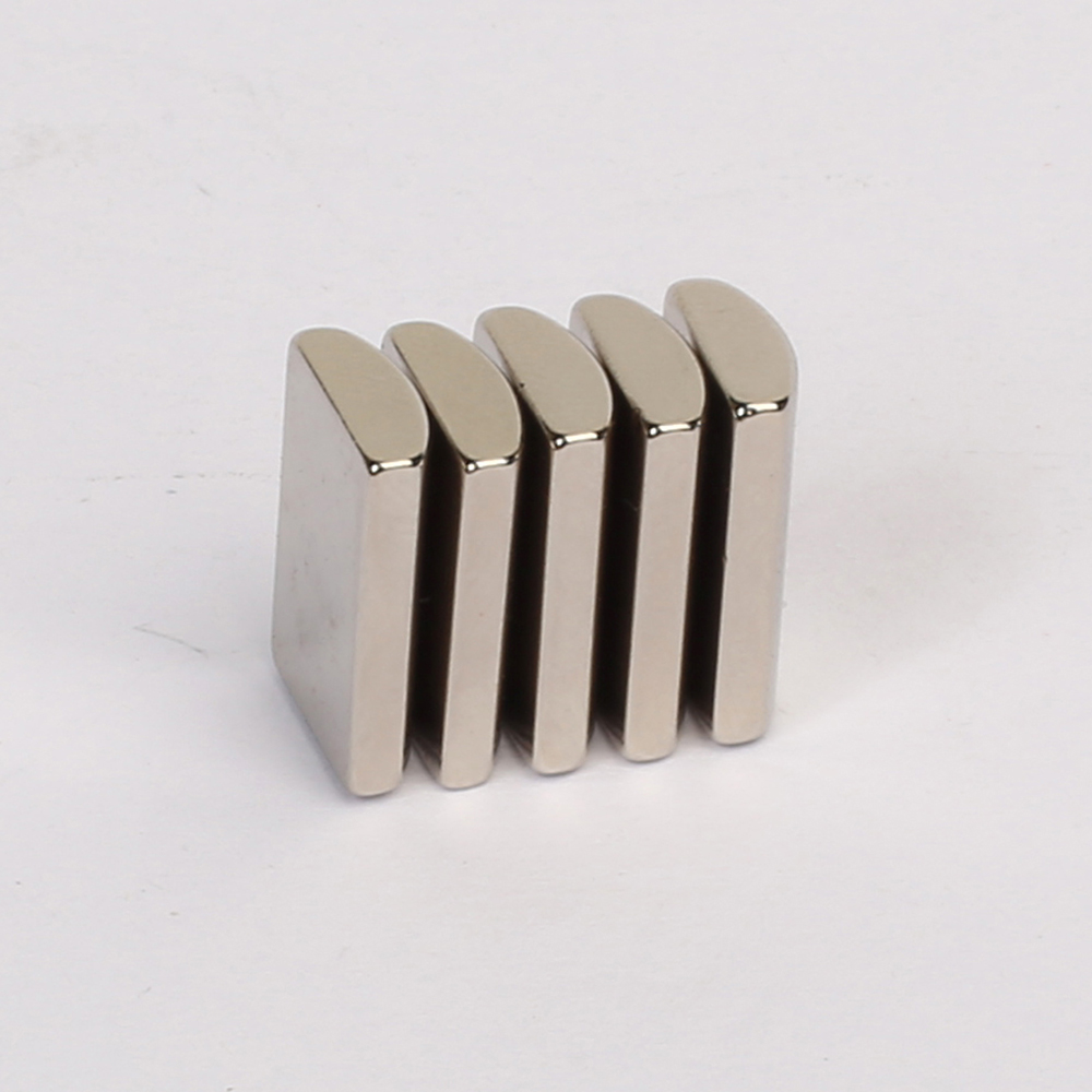 Segment NdFeB Magnet SN-21-6315