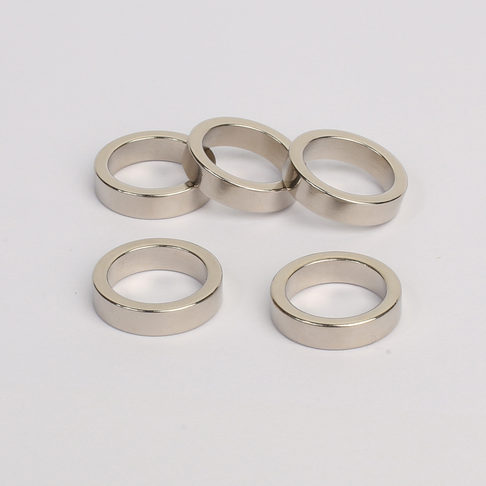 Ring & Disc NdFeB Magnet RN-9-6755