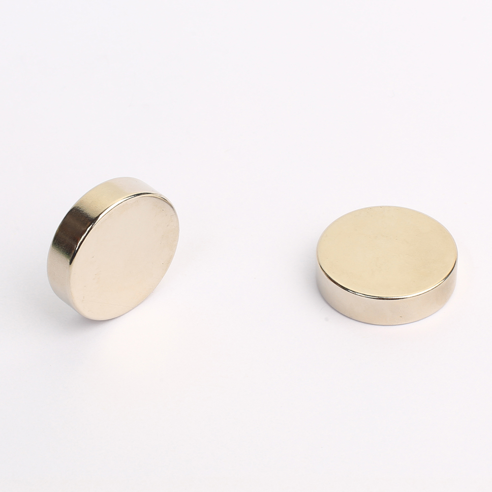 Ring & Disc NdFeB Magnet RN-15-6789