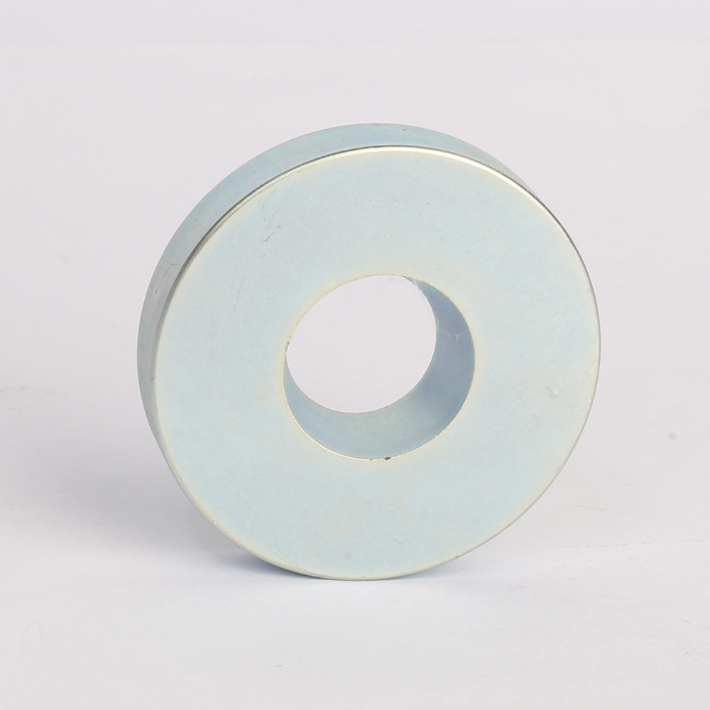 Ring & Disc NdFeB Magnet RN-29-6911