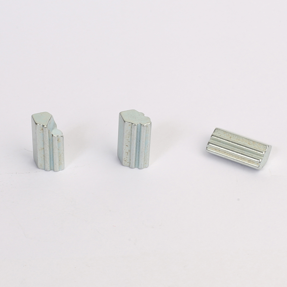 Special-shaped  NdFeB Magnet SSN-13-6266