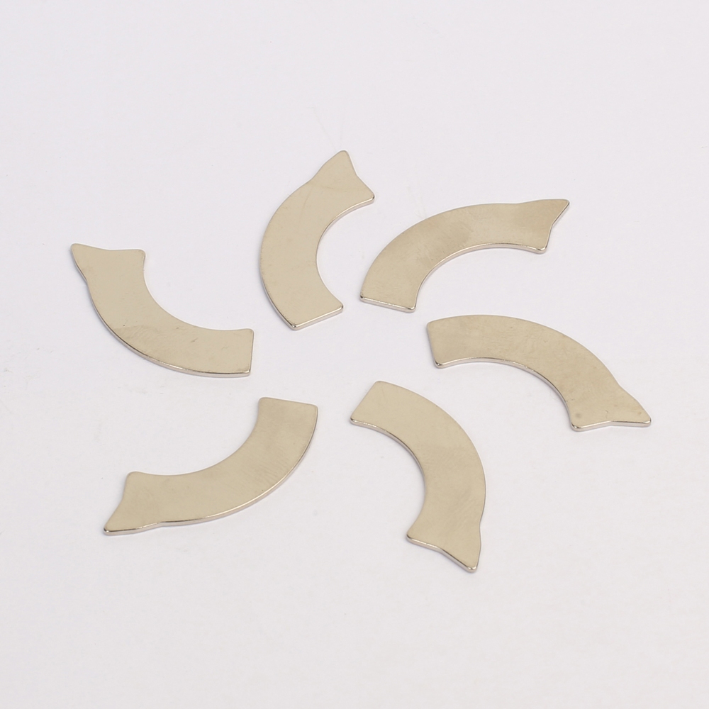 Special-shaped  NdFeB Magnet SSN-19-6288