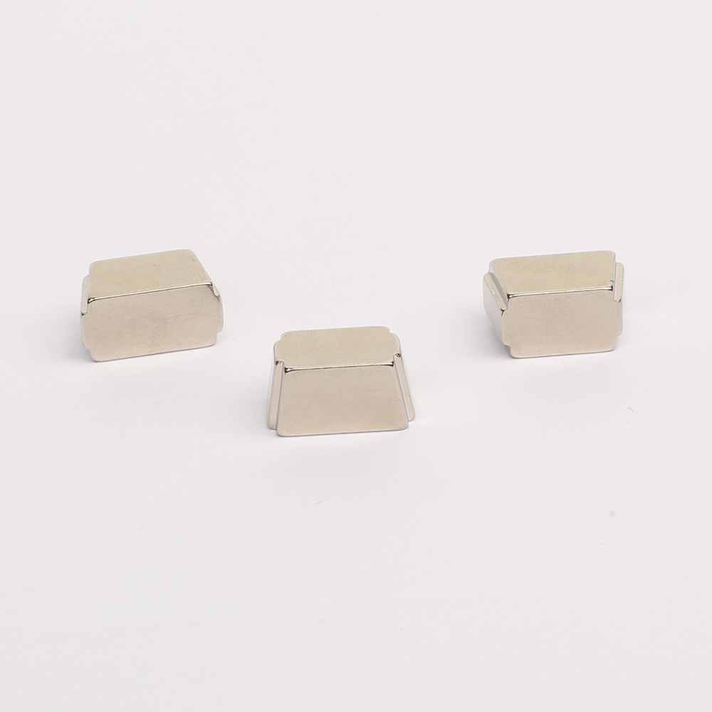 Special-shaped  NdFeB Magnet SSN-29-6772