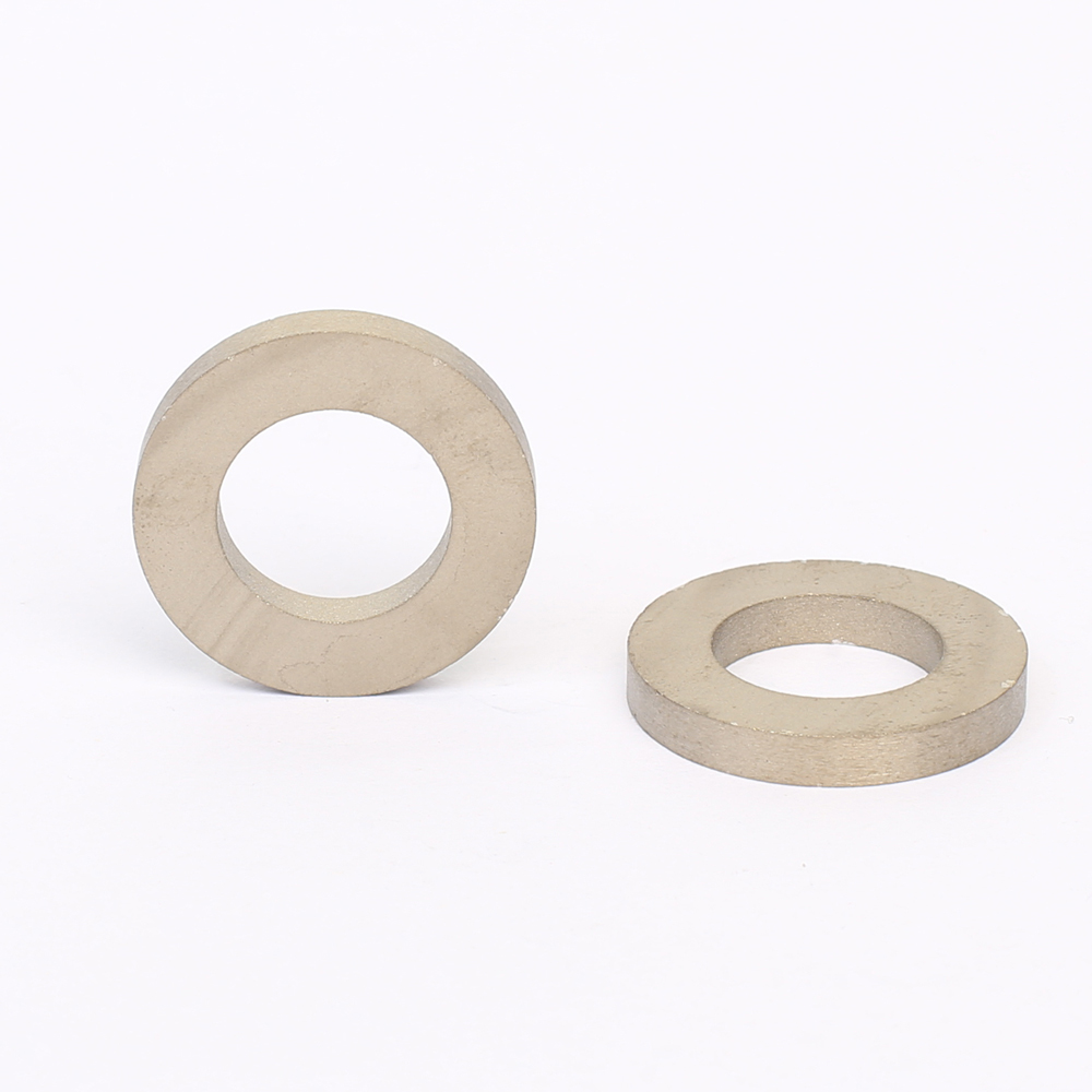 SmCo Magnet SM-8-6819