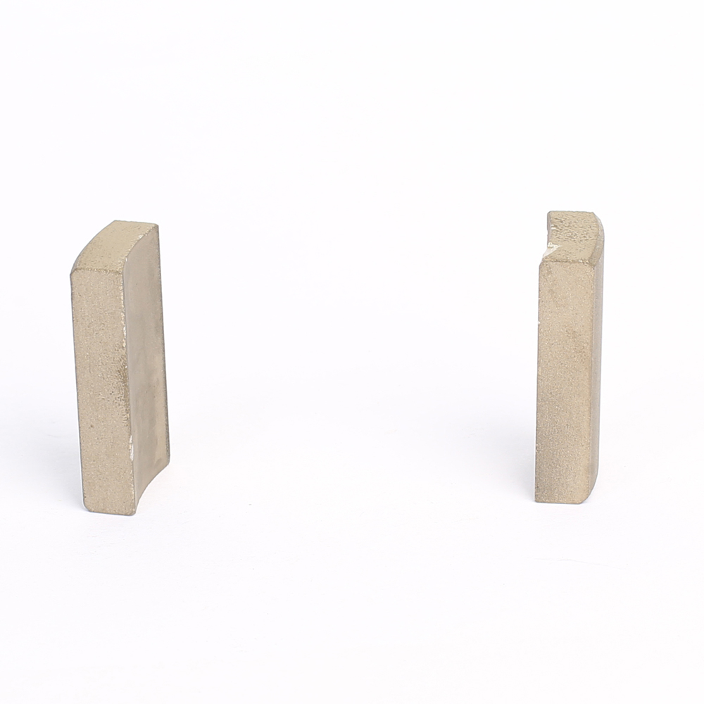 SmCo Magnet SM-13-6838